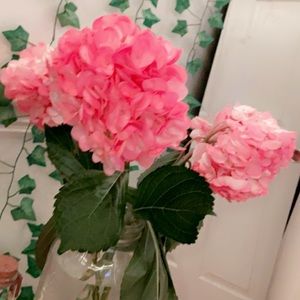 Meet your Posher, Rilee